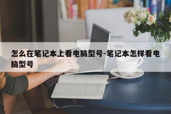 怎么在笔记本上看电脑型号-笔记本怎样看电脑型号