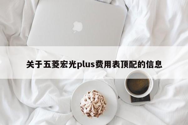 关于五菱宏光plus费用表顶配的信息